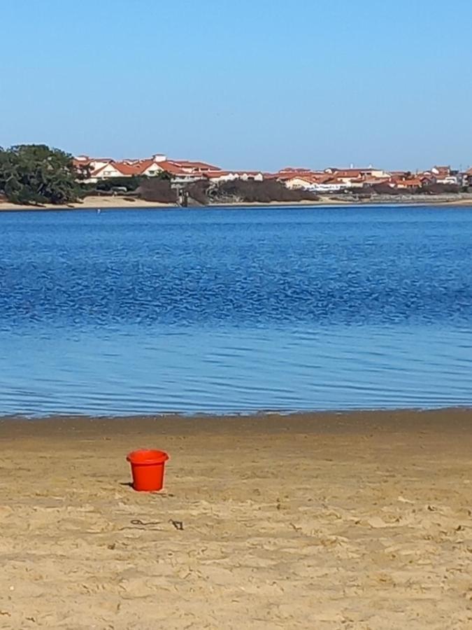 Villas Du Lac Appart 4 A 6 Personnes Сустон Экстерьер фото